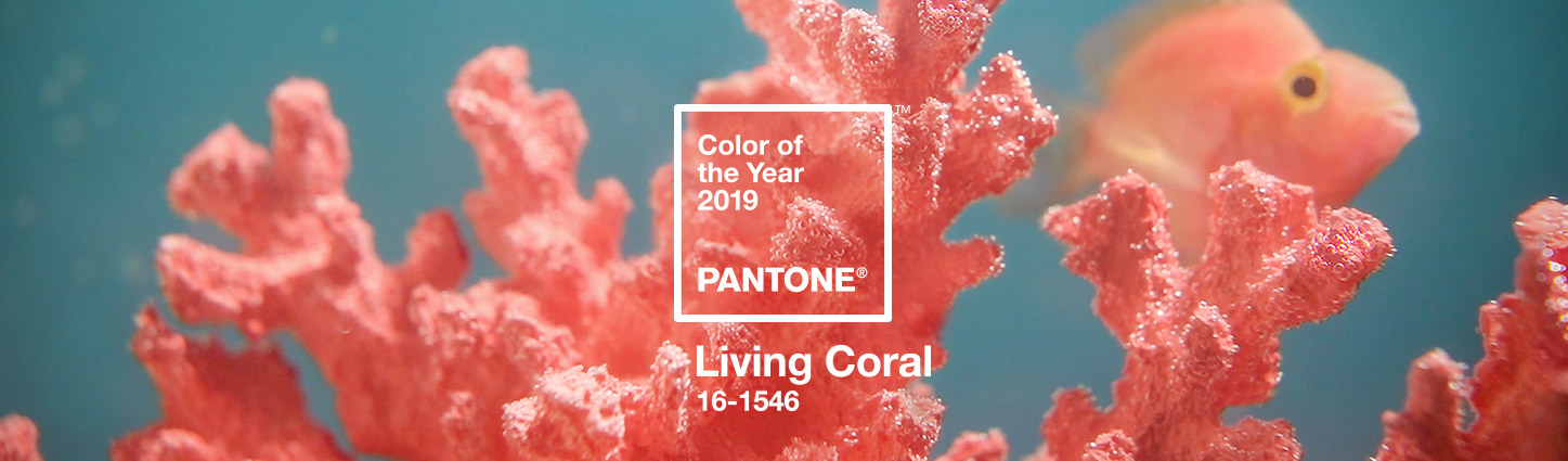 Pantone's color of the year living coral under the sea