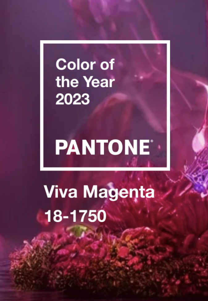 pantone 2023 logo and visual of viva magenta
